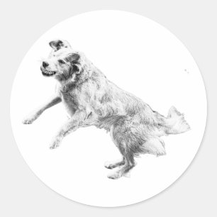 Falling Leaves, Rising Joy Classic Round Sticker