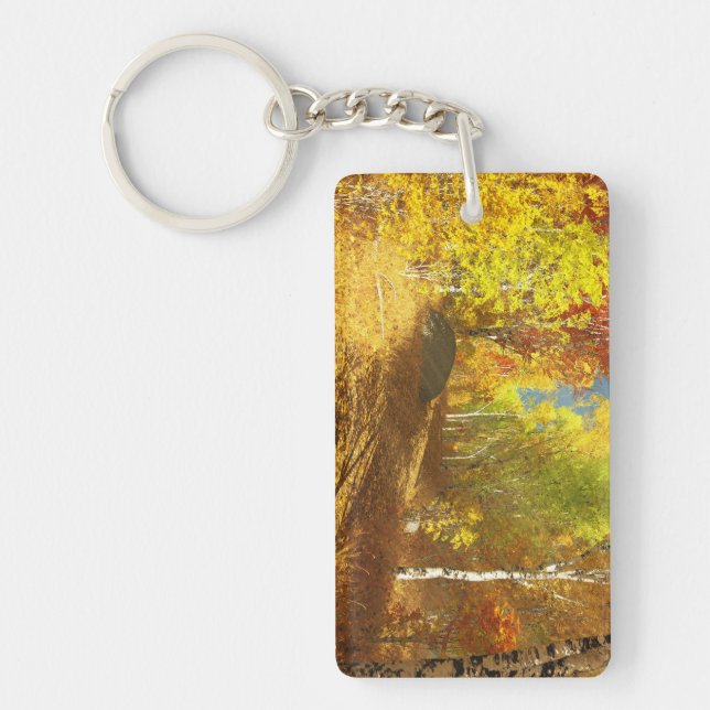 Falling Light Acrylic Keychain (Front)