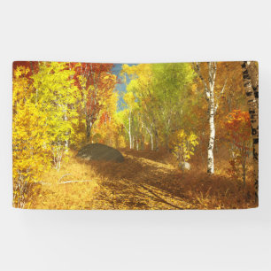 Falling Light Banner