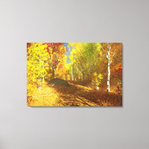 Falling Light Canvas Print