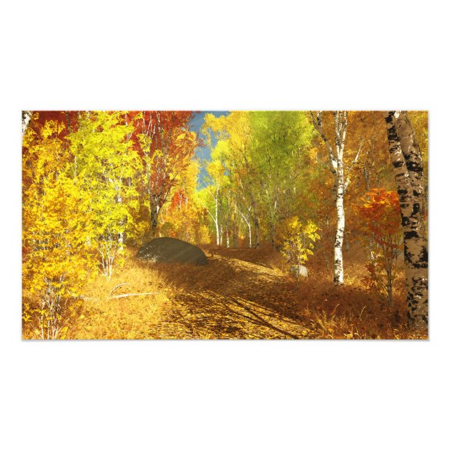 Falling Light Photo Print (Front)