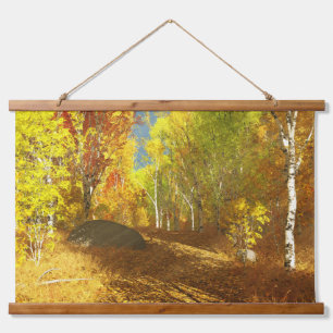 Falling Light Tapestry