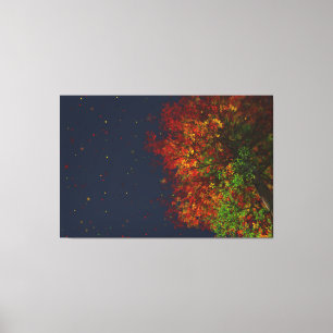 Falling Rainbow Canvas Print