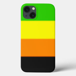 Fallln Aromantic Pride Flag iPhone 13 Case