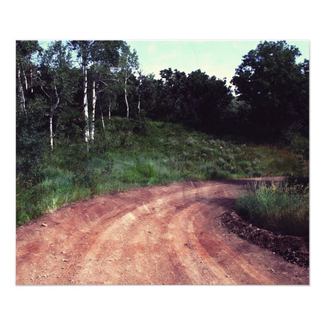 Falln A Curve In The Road Photo Print (Front)