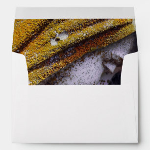 Falln A Quiet Interlude Envelope