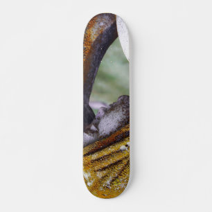 Falln A Quiet Interlude Skateboard