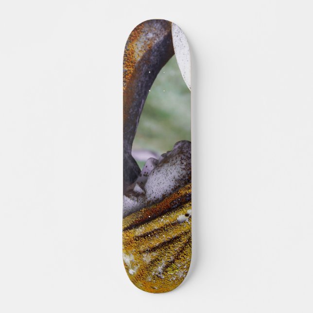 Falln A Quiet Interlude Skateboard (Front)