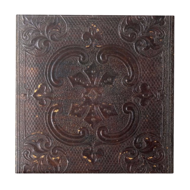 Falln Ancient Leather Book Tile (Front)