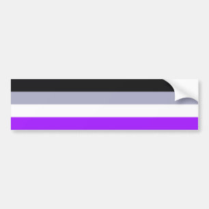 Falln Asexual Pride Flag Bumper Sticker