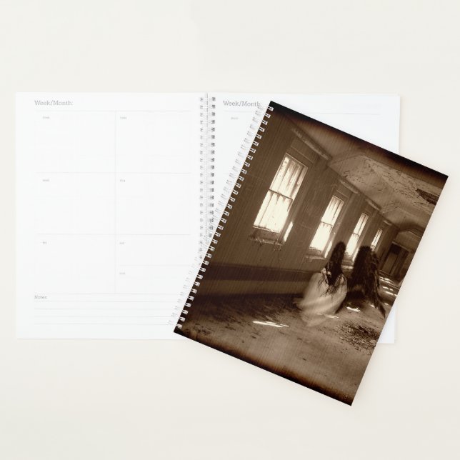 Falln Asylum Angel Planner (Display)