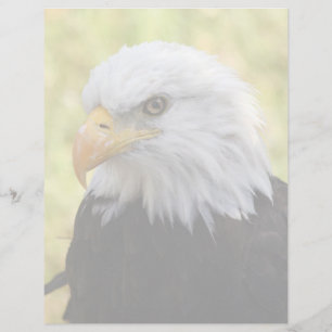 Falln Bald Eagle Liberty