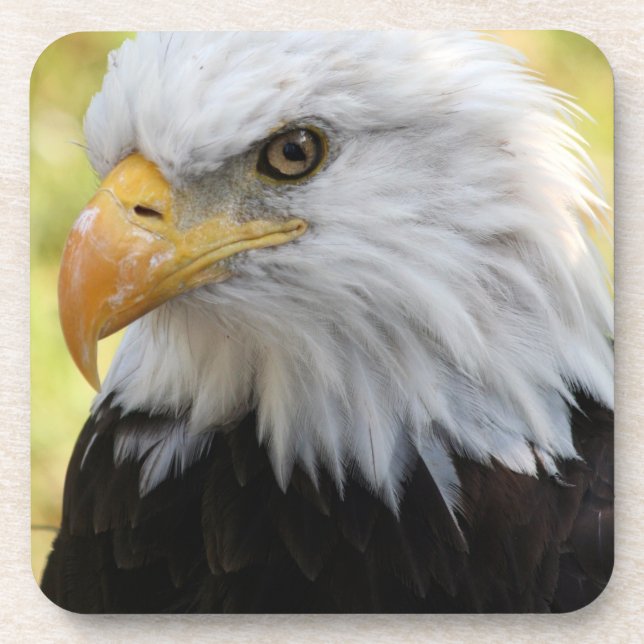 Falln Bald Eagle Liberty Coaster (Front)