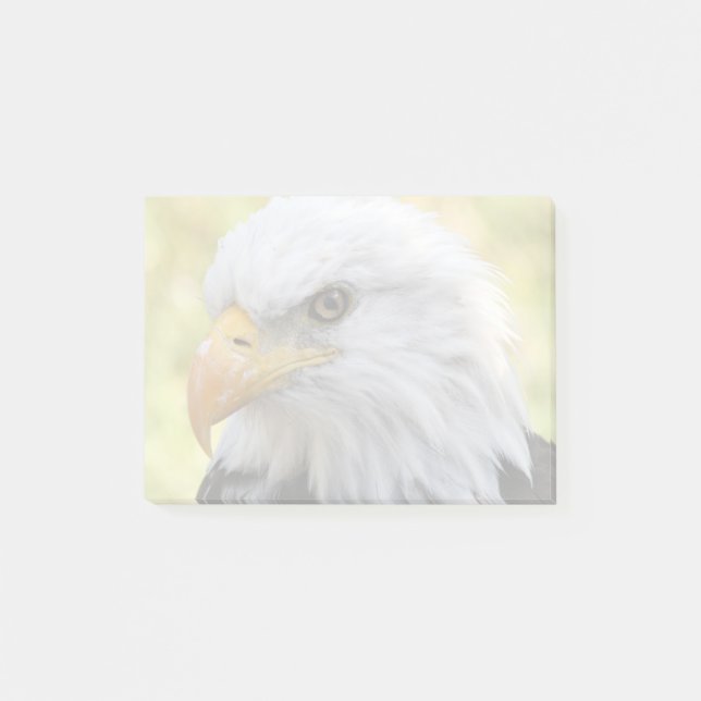 Falln Bald Eagle Liberty Post-it Notes (Front)