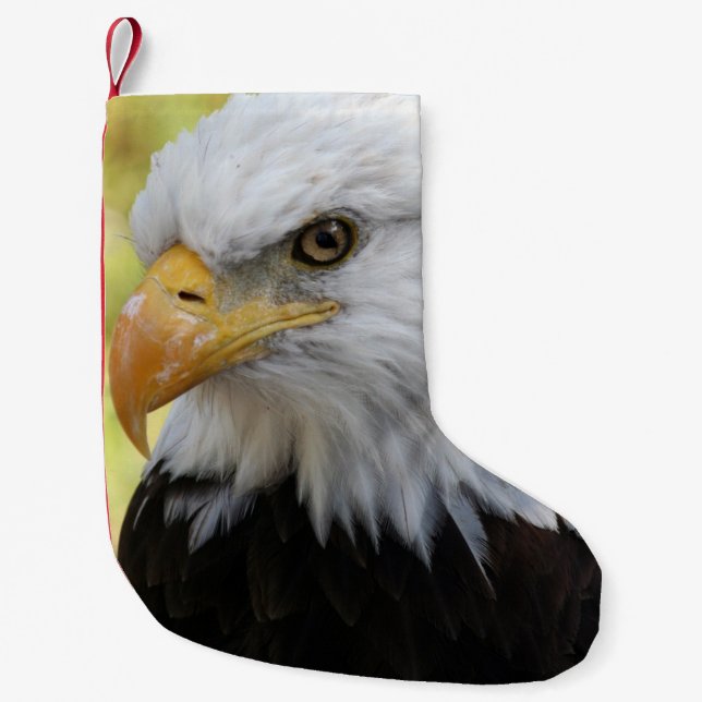 Falln Bald Eagle Liberty Small Christmas Stocking (Front)