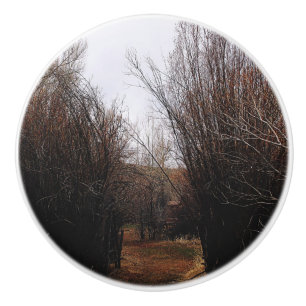 Falln Bannack Overgrowth Ceramic Knob