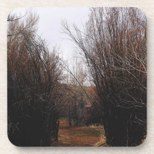 Falln Bannack Overgrowth Coaster