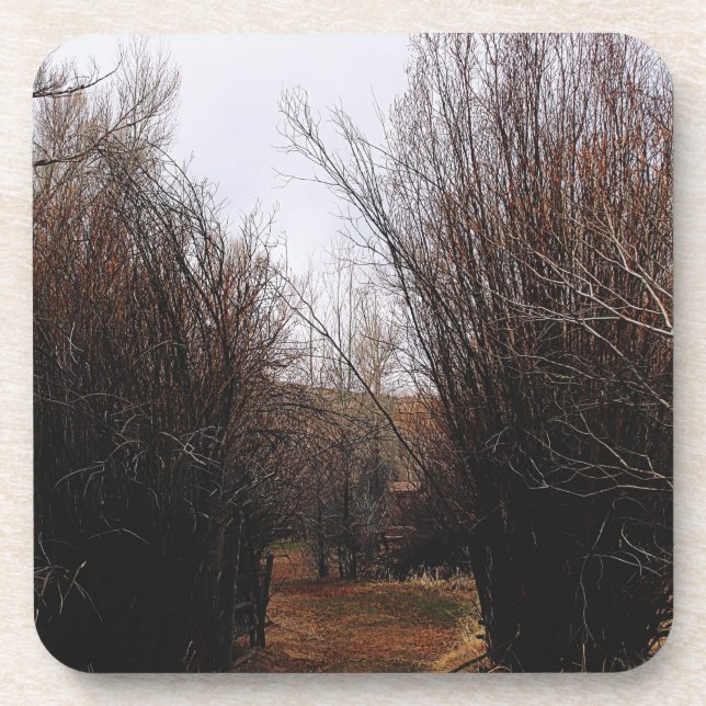 Falln Bannack Overgrowth Coaster (Front)