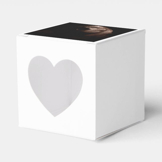 Falln Break Free Favour Box (Front Side)