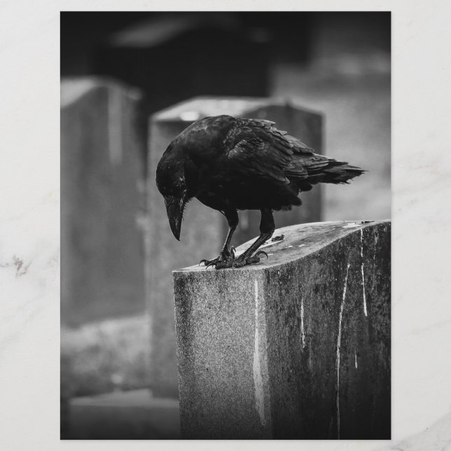 Falln Cemetery Crow (Front)