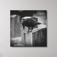 Falln Cemetery Crow