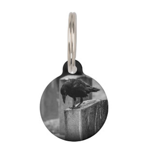 Falln Cemetery Crow Pet Tag