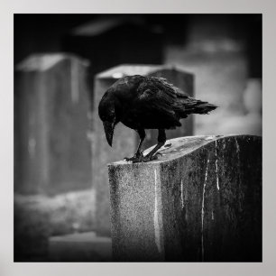 Falln Cemetery Crow Poster