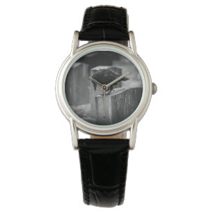 Falln Cemetery Crow Watch