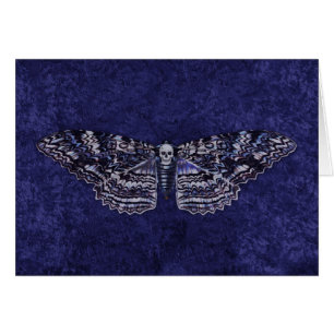 Falln Deathshead Moth