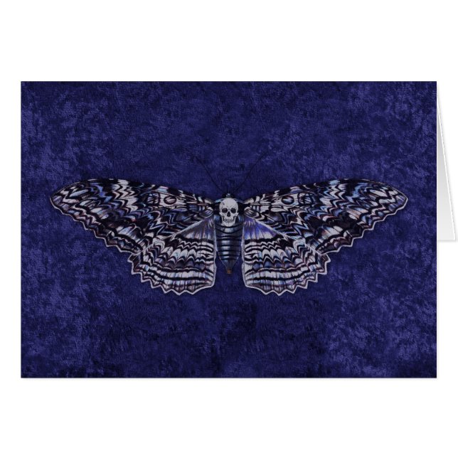 Falln Deathshead Moth (Front Horizontal)
