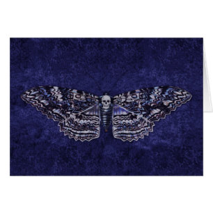 Falln Deathshead Moth