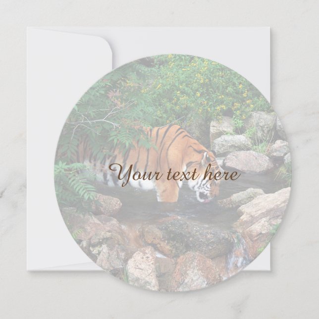 Falln Drinking Tiger (Front)