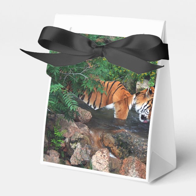 Falln Drinking Tiger Favour Box (Front Side)