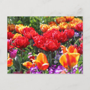 Falln Floral Crimson Waves Postcard
