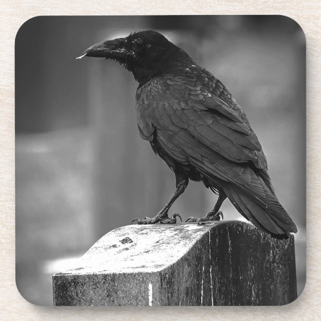 Falln Found A Feather Coaster (Front)