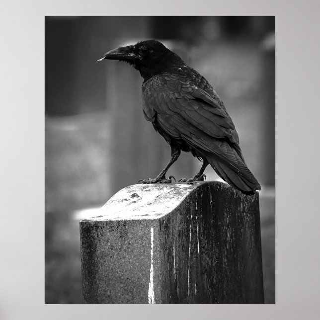 Falln Found A Feather Poster (Front)