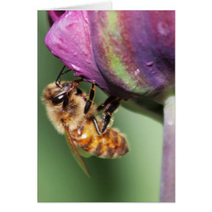 Falln Fuzzy Little Bee