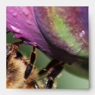 Falln Fuzzy Little Bee Envelope