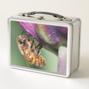 Falln Fuzzy Little Bee Metal Lunch Box