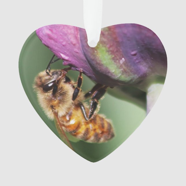 Falln Fuzzy Little Bee Ornament (Front)