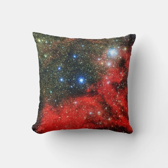 Falln Gold Dusted Galaxy Cushion (Front)