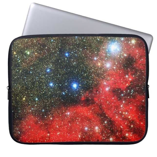 Falln Gold Dusted Galaxy Laptop Sleeve (Front)