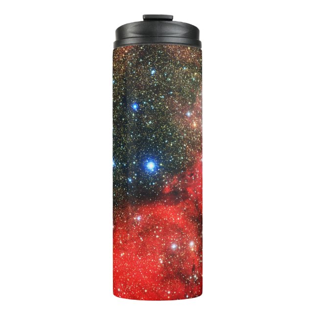 Falln Gold Dusted Galaxy Thermal Tumbler (Front)