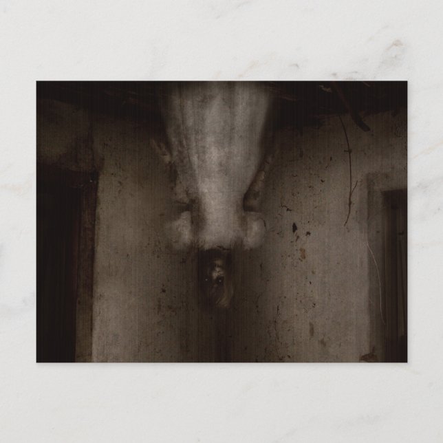 Falln I See You Postcard (Front)