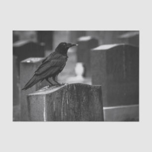 Falln It Can't Rain All The Time Tissue Paper