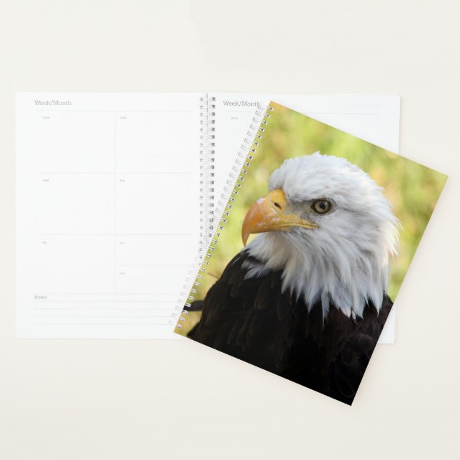 Falln Liberty Planner (Display)