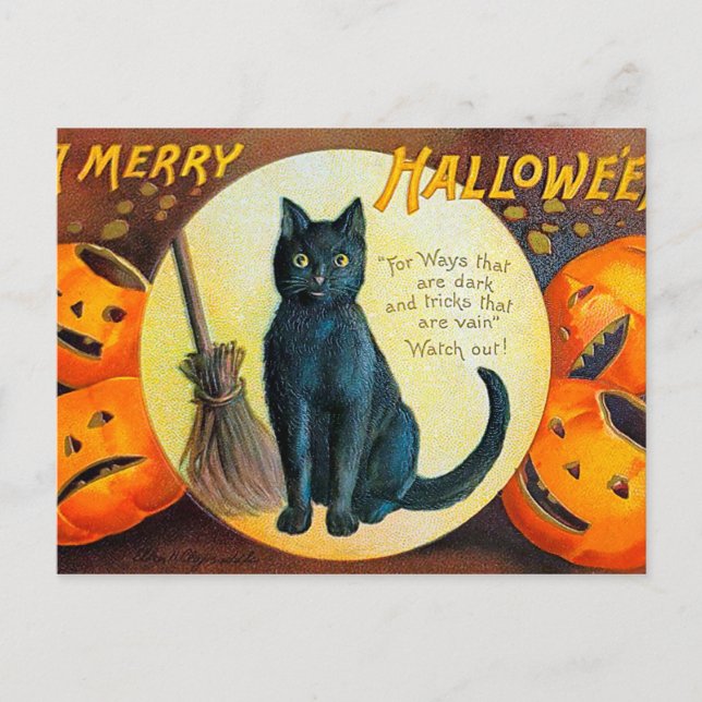 Falln Merry Halloween Cat Postcard (Front)