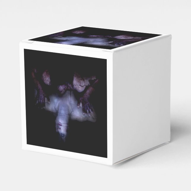Falln MirrorMirror Favour Box (Front Side)