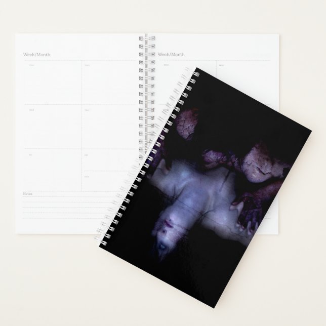 Falln MirrorMirror Planner (Display)