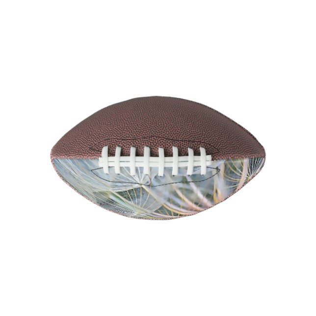 Falln New Wishes Football (Front)